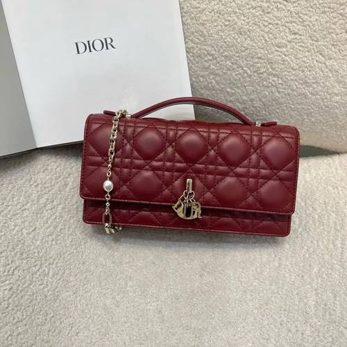 Dior bag
