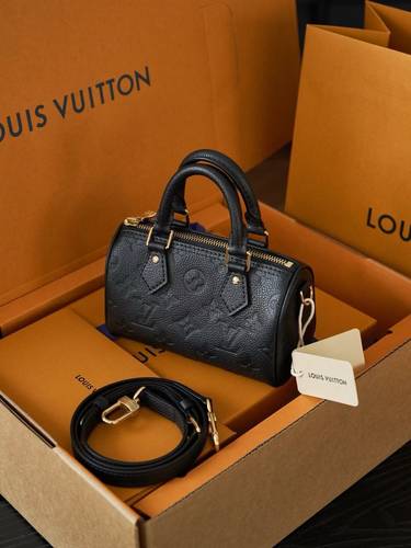 Louis Vuitton nano speedy