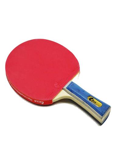 TTR-P Table Tennis Racket Set – Pro Design for Intense Play