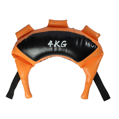 4kg Fitness Power Training Weight Bag LPBR-A4