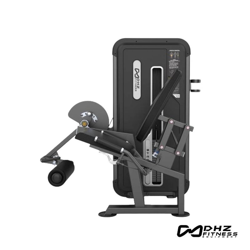 DHZ U3002A Professional Leg Extension & Curl Machine