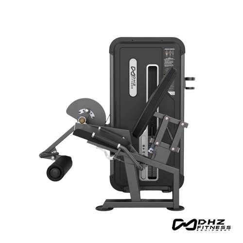 DHZ U3002A Professional Leg Extension & Curl Machine