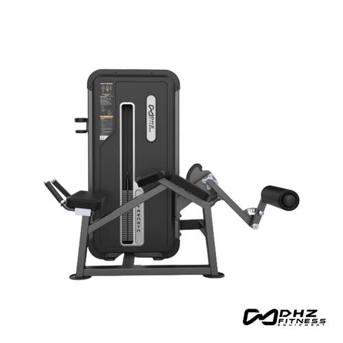 DHZ U3001A Professional Leg Curl & Extension Machine