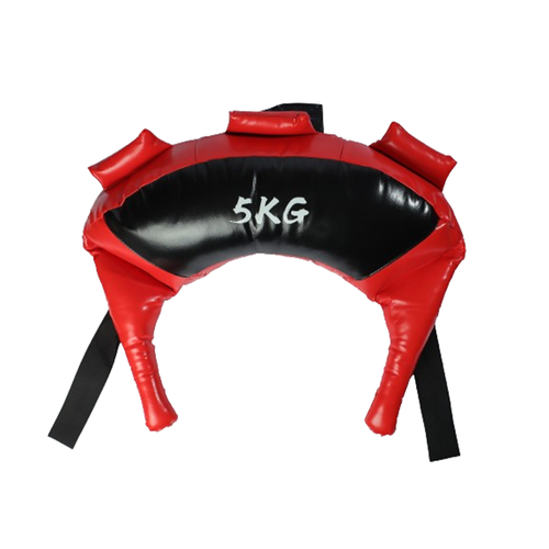5kg Fitness Power Training Weight Bag LPBR-A5