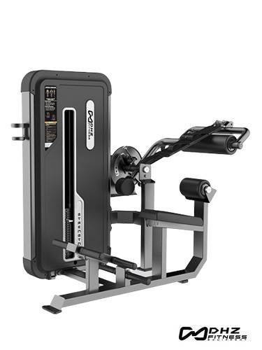 DHZ Fitness Abdominal and Back Extension /U3088A