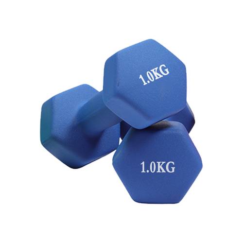 Vinyl Dumbbell Pair 1kg VD2-A1