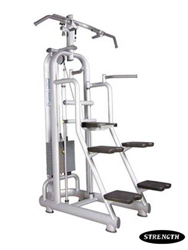 TZ-6019 Assisted Chin Up/DiP
