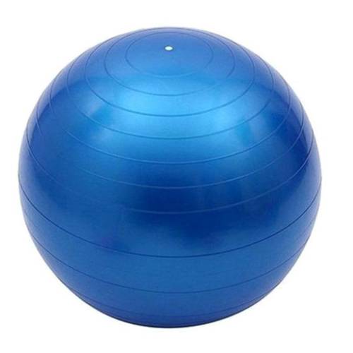 Gym Exercise Ball 65 CM GYMB-A65