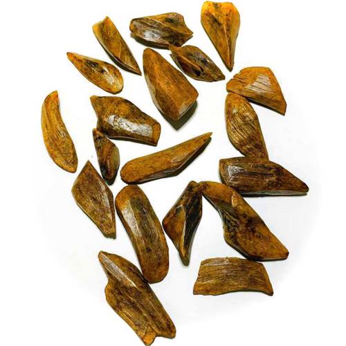 عود المناسبات