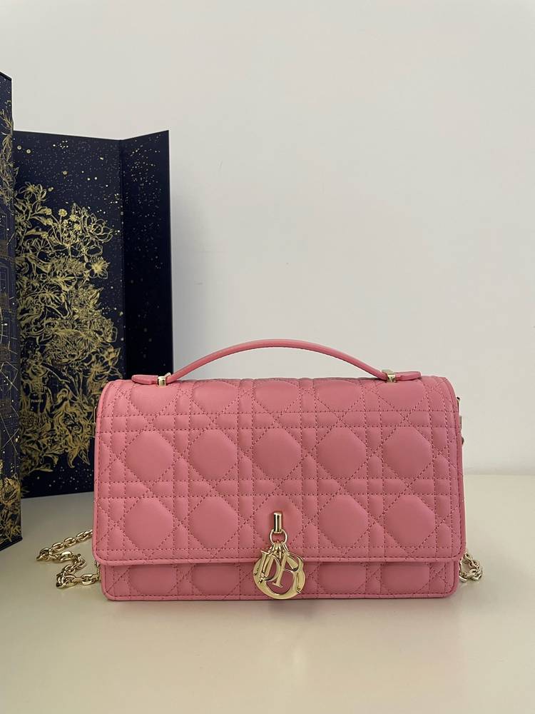Dior clutch size 24cm