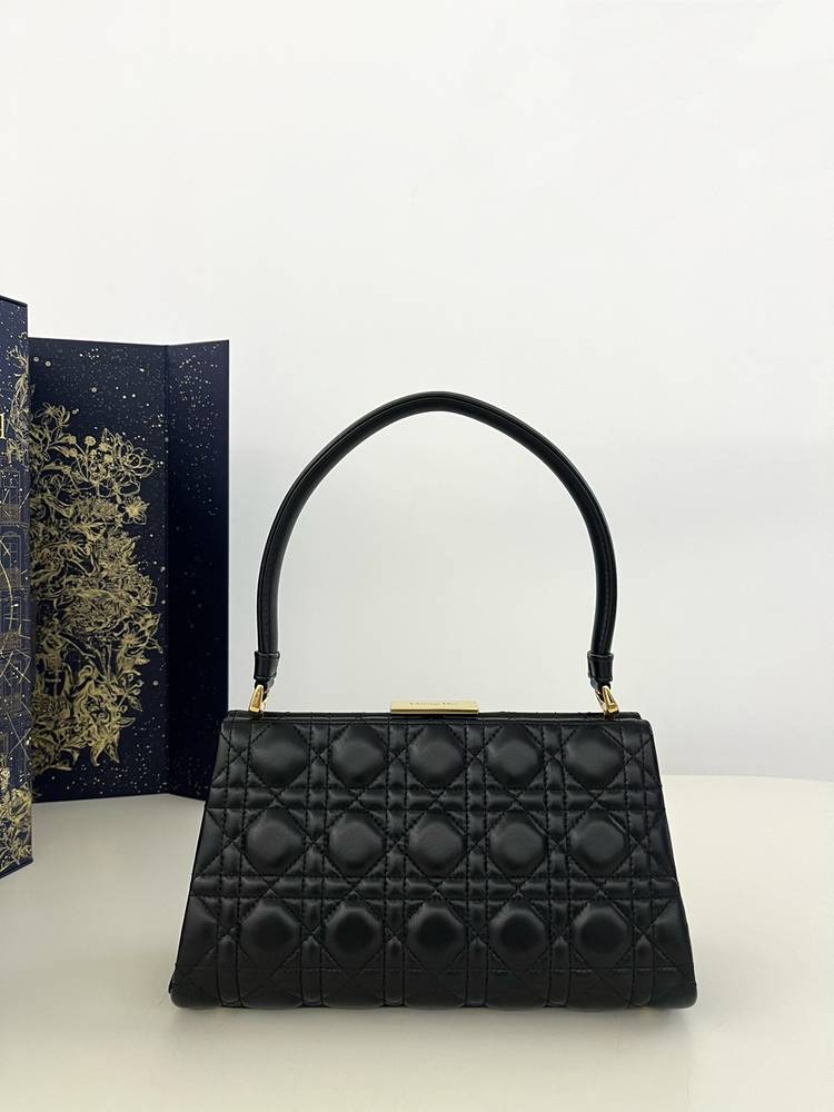 Dior Evenik Handbag, size 26cm