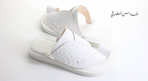 نعام ابيض