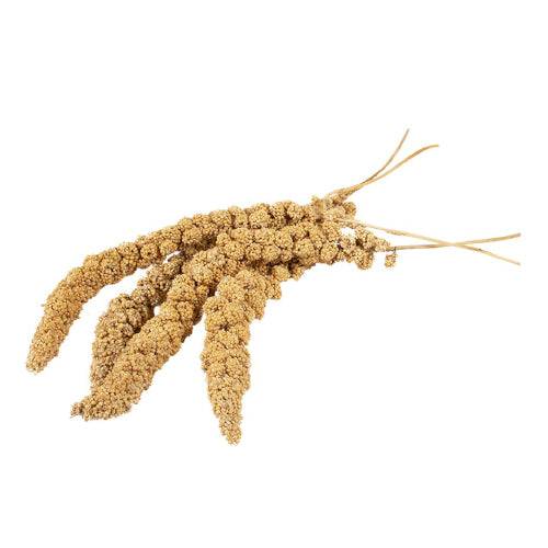 WM Country Snack for All Birds Millet Spray 150g