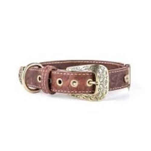 My family El Paso Brown Leather Collar 26 x 1.6 cm