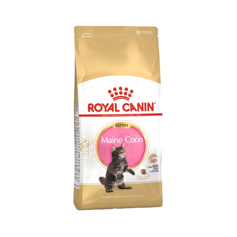 Royal Canin Maine Coon Kitten Dry Food