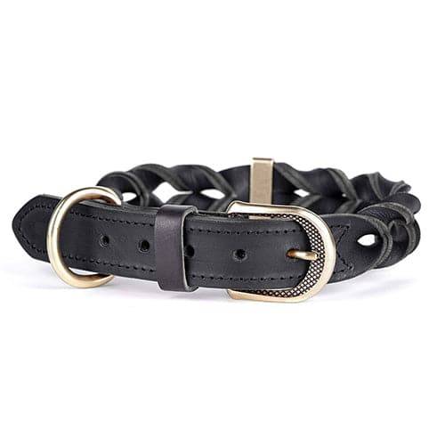 My Family Ascot Black Leather Collar 50 x 2.2 cm