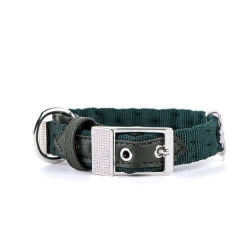 My Family Milan Green Nylon Collar 26 x 1.6 cm, S