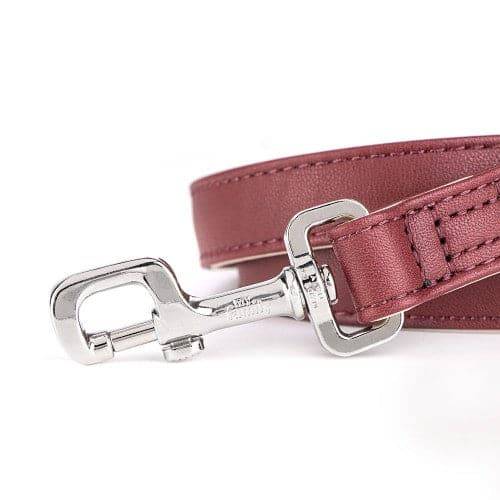 My Family Heritage Brown Leather Lead 110 x 1.6 cm
