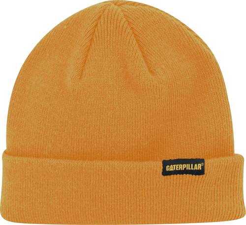 Cat-Foundation Knit Hat