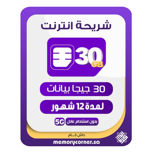 شريحة انترنت داش كام 30 جيجا لمدة 12 شهر