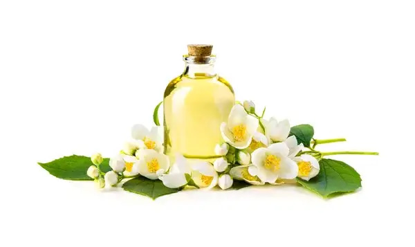 زيت الياسمين من السيف رويال ( مركز خام )