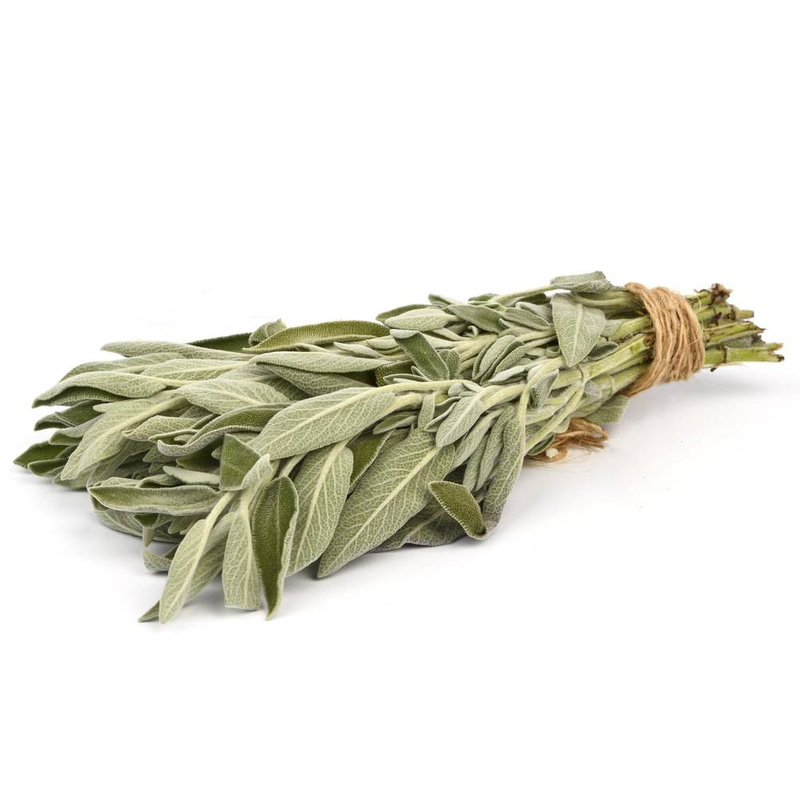زيت المرامية من السيف رويال ( مركز خام )