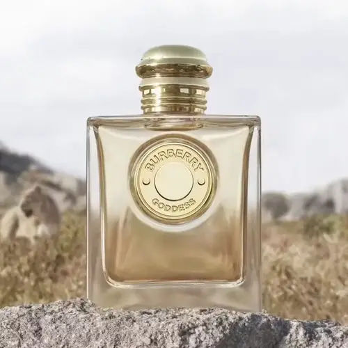 بربري غوديس أو دو بيرفيوم عطر نسائي دافئ – 100 مل
