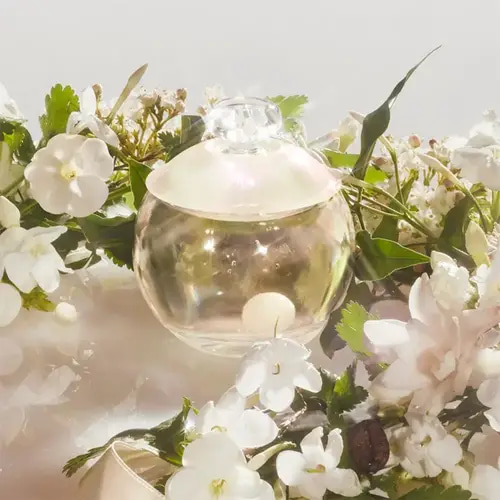 كاشاريل نوا عطر نسائي ناعم وغامض أو دو تواليت  - 100 مل