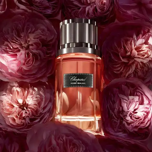 شوبارد روز ملكي عطر للجنسين برائحة ورد شرقية فاخرة  أو دو بارفيوم - 80 مل