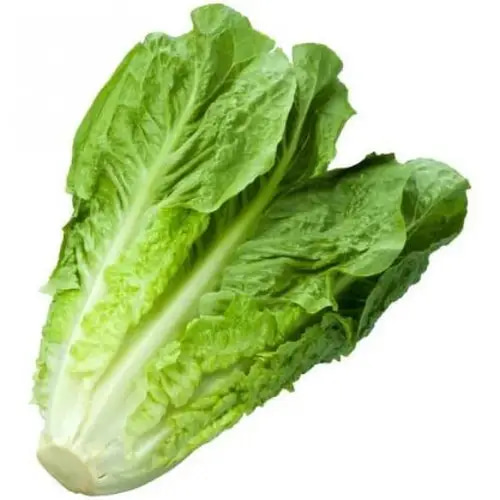بذور خس 10 غرام