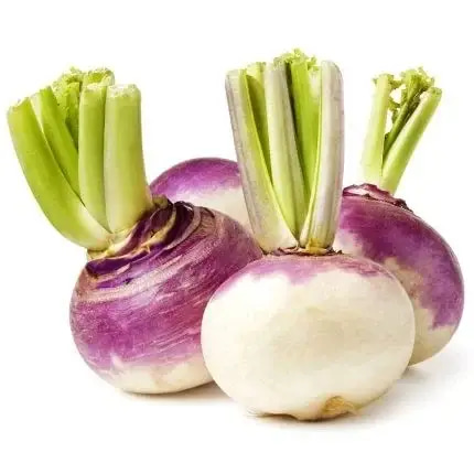 بذور لفت 10 غرام 
