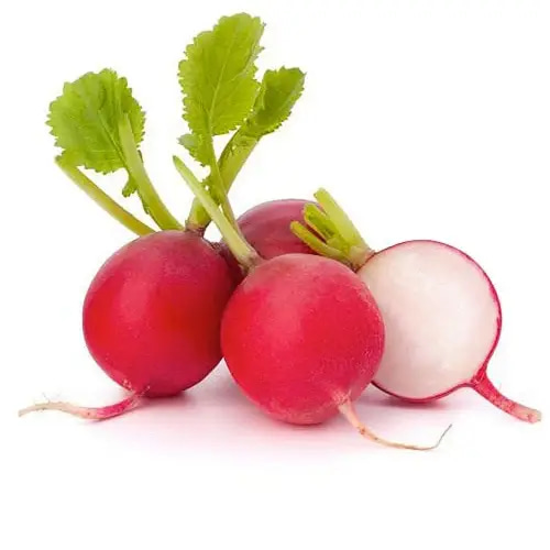 بذور فجل احمر 10 غرام 