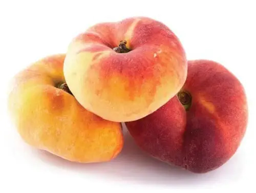 شتلة خوخ كعب الغزال مطعم 2سنة 