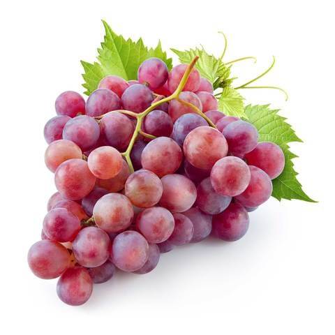 شتلة عنب بناتي احمر