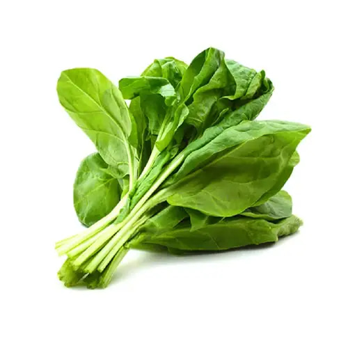 بذور سبانخ 10 غرام 
