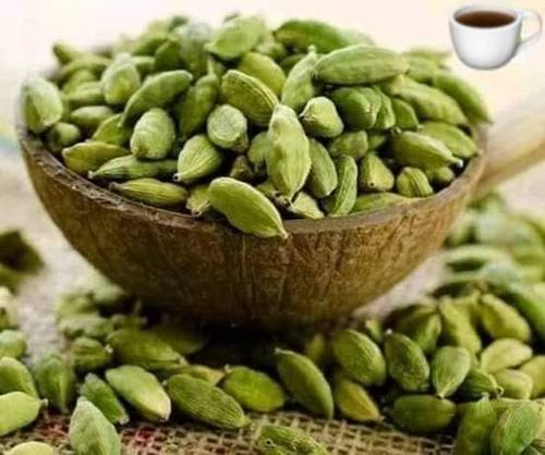 شتلة هيل هندي اصلي
