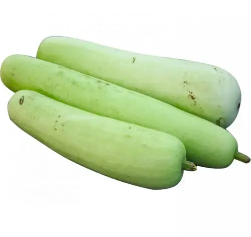 بذور قرع اخضر 10 غرام 