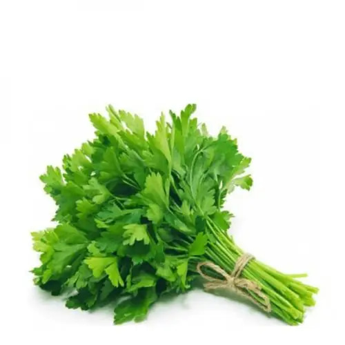 بذور بقدونس 10 غرام