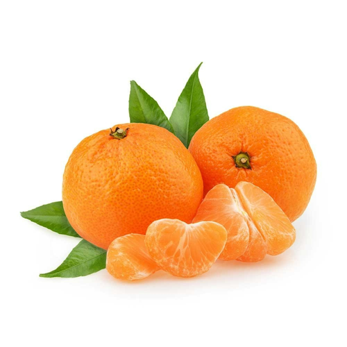 يوسفي كلمنتينا
