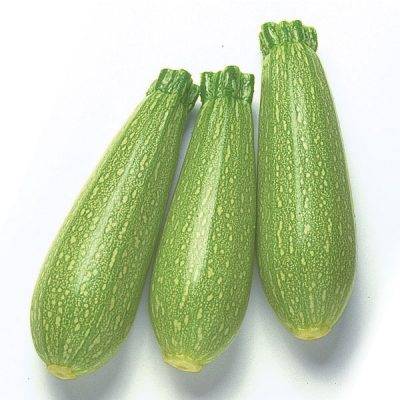 بذور كوسه 10 غرام 