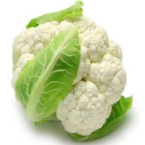 بذور زهرة 5 غرام 