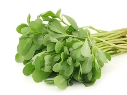 بذور رجلة 10 غرام 
