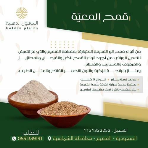 قمح معية 