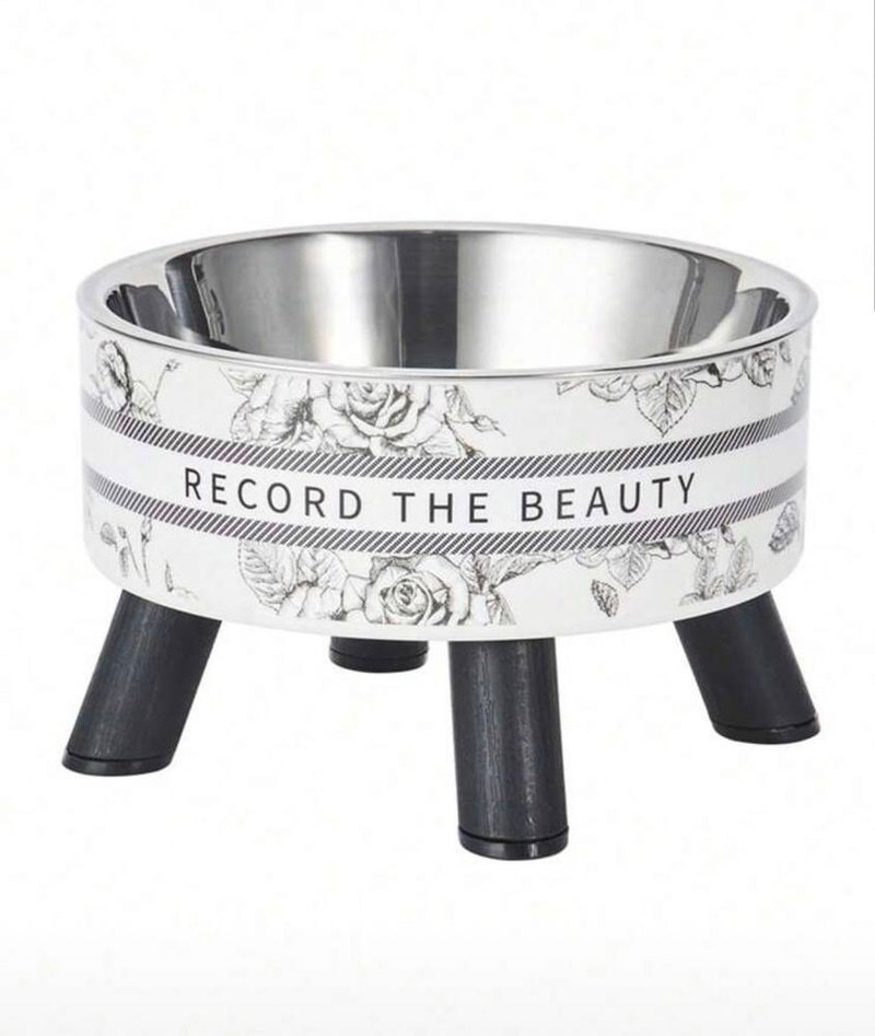 ستانلس ستيل وعاء طعام للقطط