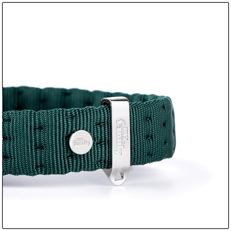My Family Milan Green Nylon Collar 26 x 1.6 cm
