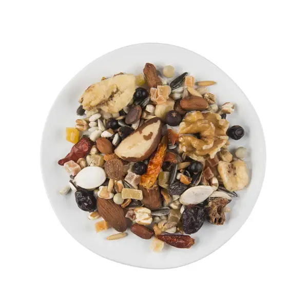 Wet Mullen Fruit & Nut Treats for Large Birds, 200g