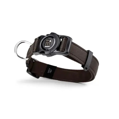 My Family Memopt Dog Collar, Small