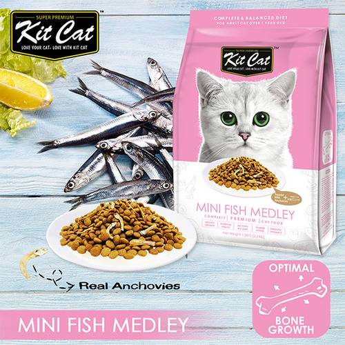 Kit Kat Small Fish Mix Dry Cat Food (for optimal bone growth)