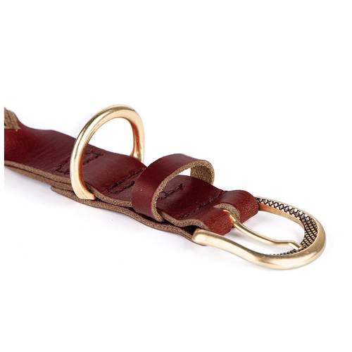 My Family Ascot Red Leather Collar