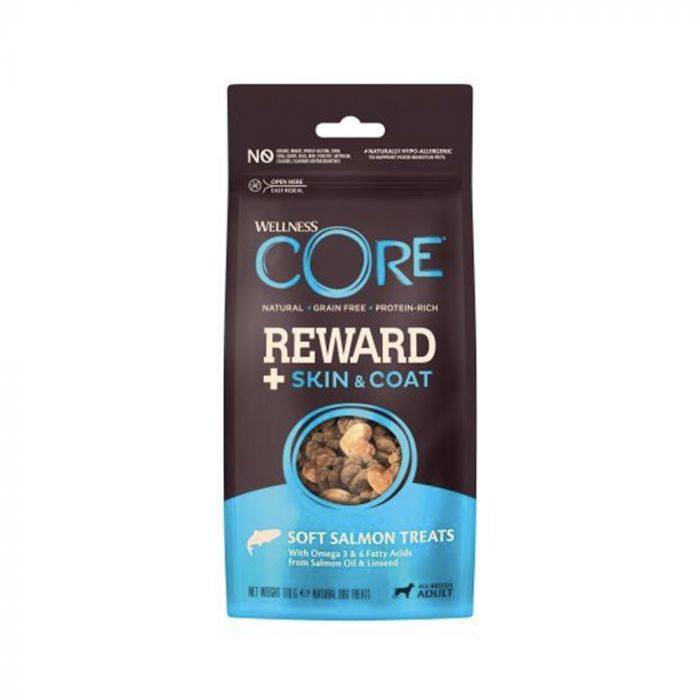 Wellness Core Dry Treats Reward+ Skin & Coat Salmon for Dogs 170g